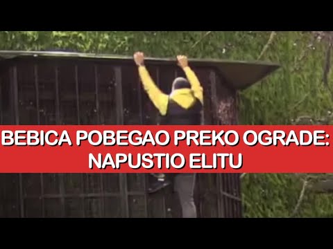 Elita 9: BEBICA POBEGAO PREKO OGRADE - NAPUSTIO ELITU | Zadruga uzivo