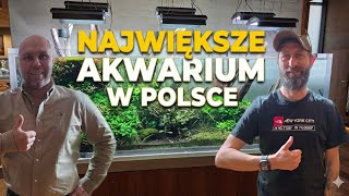 Mega akwarium - peha68