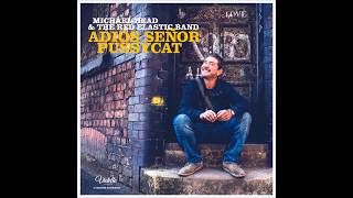 MICHAEL HEAD & THE RED ELASTIC BAND-Adios Senor Pussycat-03-Picklock-Indie & Folk Rock-{2017}