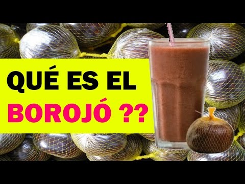 download lagu mp3 mp4 Que Es Borojo, download lagu Que Es Borojo gratis, unduh video klip Que Es Borojo