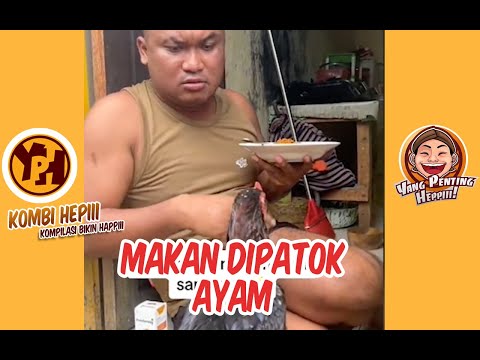 makan-dipatok-ayam