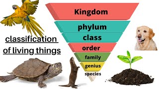 Taxonomy "classification of living things" with mnemonic