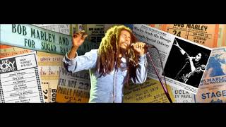 Ambush In The Night Riddim - Bob Marley (PROD. BORKA B) Instrumental