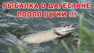 Самые рыболовные места в дагестане