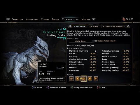 Neverwinter Hunting Drake Companion for 4 Million AD?!