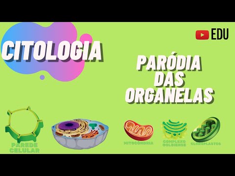 Citologia Paródia das Organela | Animação
