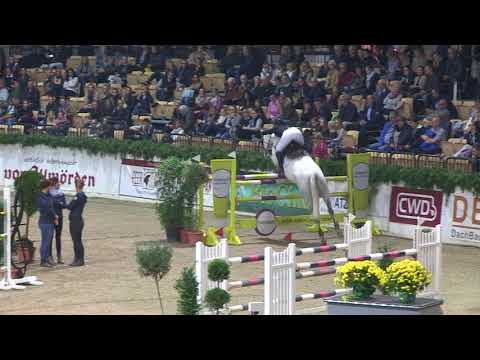 SHS Holstein International 2017 - Sieger im großen Preis - Stechen