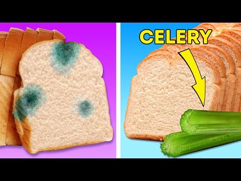 download lagu mp3 mp4 Celery Bread, download lagu Celery Bread gratis, unduh video klip Celery Bread