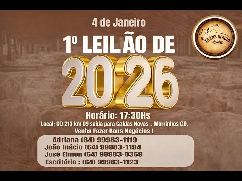 Leilão de Gado em MORRINHOS-GO, 04/01/2026  TransInácio Leilão - 18:00 Hs - Presencial e virtual.