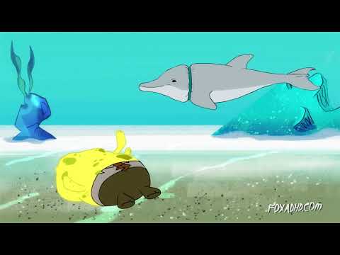 SCIENTIFICALLY ACCURATE ™: SPONGEBOB SQUAREPANTS