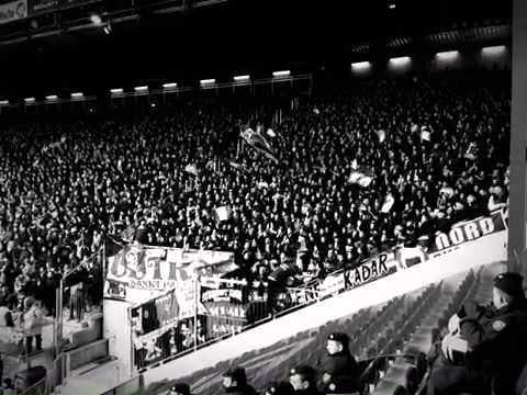 Die ganze Kurve singt und tanzt für Dich - FC ST PAULI