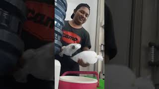 Download lagu Memecah es batu mp3
