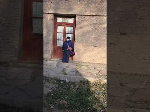 “Valcheta: más ovejas que personas 🐑 | Pueblo fantasma en la Patagonia”