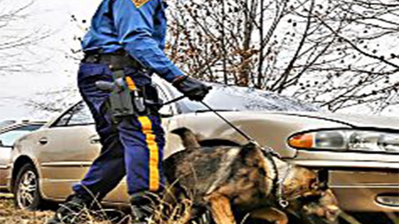 Toddler Vanishes Without a Trace Before Police Stumble Upon One Clue