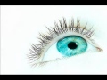 Terry Oldfield - Sun In My Eyes (Across The Universe)