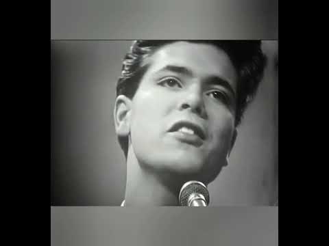 Cliff Richard - Evergreen Tree...