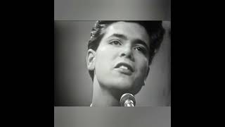 Cliff Richard - Evergreen Tree...