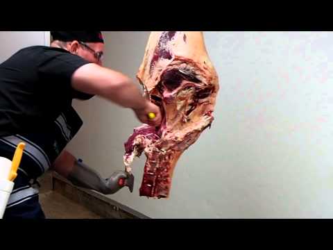 download lagu mp3 mp4 T Bone Cut On Cow, download lagu T Bone Cut On Cow gratis, unduh video klip T Bone Cut On Cow