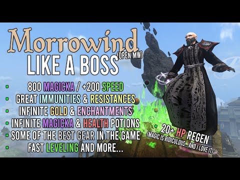 Morrowind Like A Boss: A Short Guide