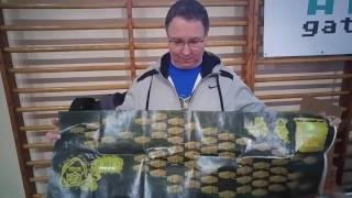 Retronics from poland Atari Games