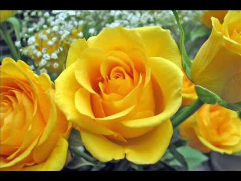 Nuk Songkhum Chea Nich (Always Hoping)