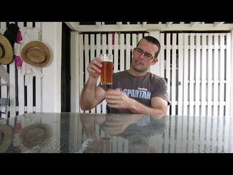 HBW #65 Grain to glass White IPA with raw wheat