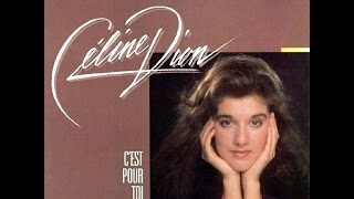 Céline Dion - C&#39;est pour toi - Paroles/Lyrics