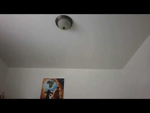 John Trillaa - vibing out