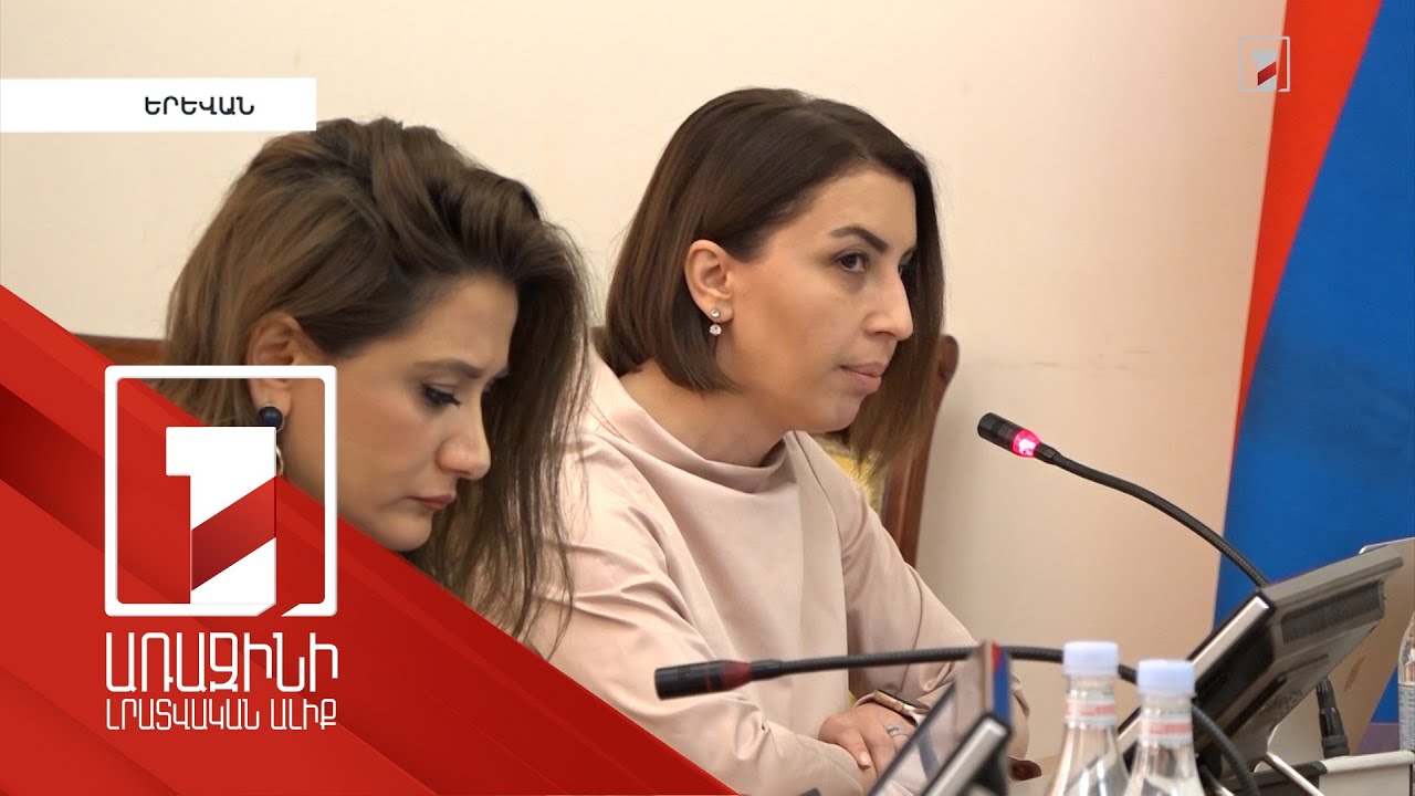 Թաթոյանի զեկույցը ԱԺ-ում ներկայացրել է մարդու իրավունքների այժմյան պաշտպան Քրիստիննե Գրիգորյանը