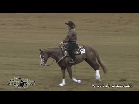 Gunnatrashtheplace ridden by Dean B. Brown  - 2018 NRBC (Open Prelims)