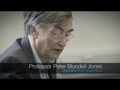 RIBA President's Medals 2009 - Judging the Dissertation Medal