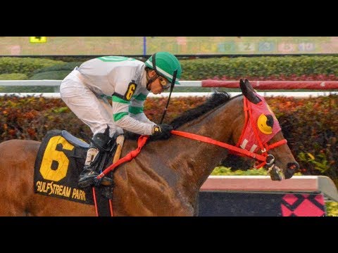 Gulfstream Park Carrera 9 (The 33rd Running of The Fred W. Hooper)  - 26 de Enero 2019