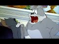 Tom And Jerry English Episodes Quiet Please Cartoons For Kids