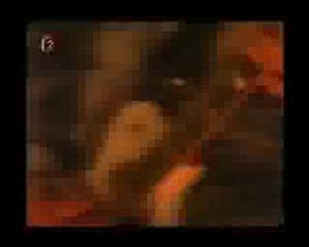 Elvis Gott Superstar - Elvis Gott Superstar: Emerson Fittipaldi
