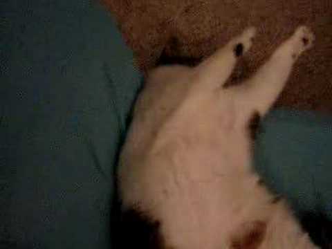 download lagu mp3 mp4 Naptimes Over, download mp3 Naptimes Over free download mp3, download mp3 Naptimes Over