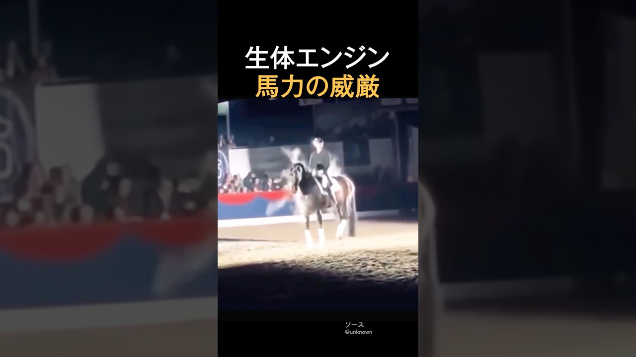 整体エンジン馬力の威厳