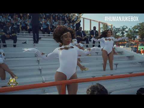 Southern University Human Jukebox 2019 "Can You Feel It" | Florida A&M