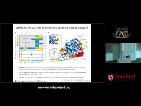 Non coding cancer drivers - Michael Snyder