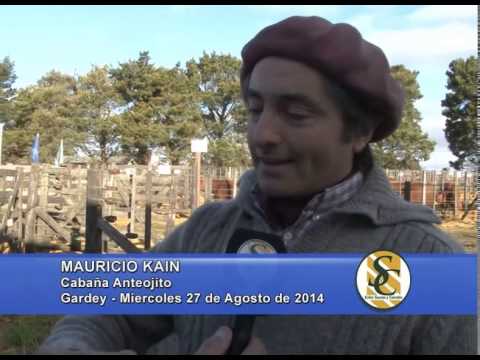 Cabaña - Los Ceibos e invitados - Nota Mauricio Kain - Gardey - 27/08/2014