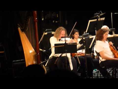 Promotional video thumbnail 5 for Gregor Kitzis Violin and Musical Saw