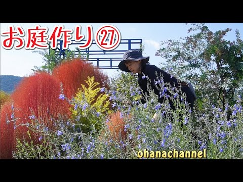 パタゴニアのバーベナ 植物