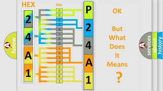 dtc p24a1 interpretation