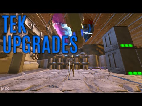 INSANE PROGRESS DAY 2 & ALPHA BROODMOTHER - MTS Chapter 2