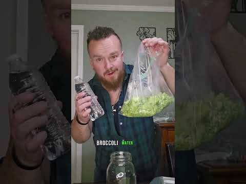 Learn tp make broccoli tincture!