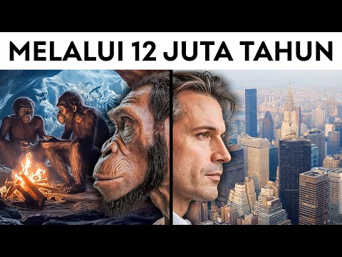 Perjalanan 10 Menit Melalui Evolusi Manusia di Bumi