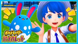 チリリ大活躍！！ちろぴのポケモンスカーレット・バイオレット実況#8🔵【ポケモンSV】
