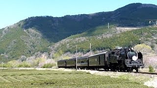 preview picture of video '【さくらHM】大井川鐵道 SLかわね路12号(C11-190牽引)@抜里-家山'