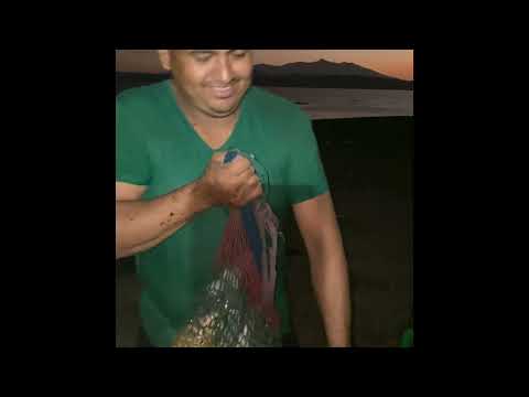 Pesca y cocna en el lago Suchitlán, el paraíso, Chalatenango; disfrutando con familia y amigos 👏🏼