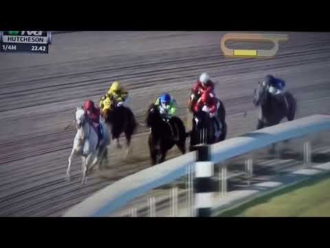 HUTCHESON (G 3) STAKES 3/24/18 - MADISONS LUNA !!