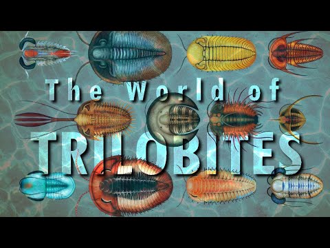 World of TRILOBITES